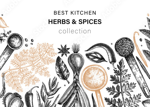 Hand drawn herbs and spices vector banner design. Hand-sketched food illustration. Vintage aromatic plants hand-drawing. Kitchen herbs and spice frame template in sketched style.