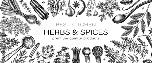 Hand drawn herbs and spices vector frame design. Hand sketched food illustration. Vintage aromatic plants banner template. Sketched style. Kitchen spice and herbs black and white design