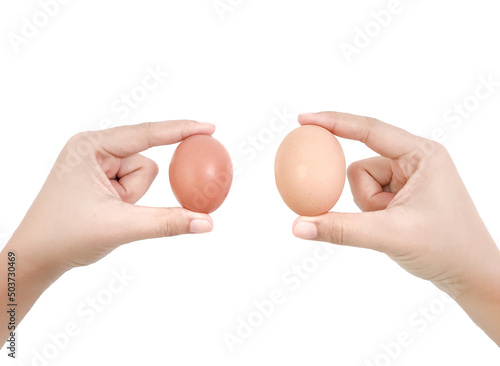 Female hands with brown egg isolated on white background