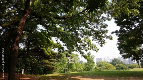 휴식