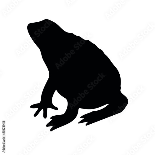 Vector hand drawn frog silhouette isolated on white background