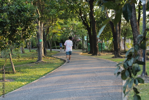 Wallpaper Mural walk in the park Torontodigital.ca