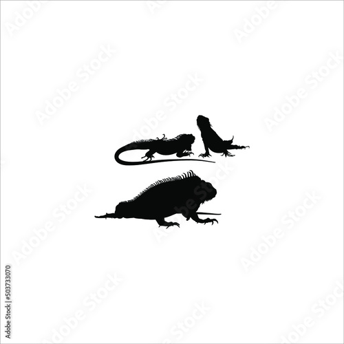 Silhouette of Iguana Reptiles  a genus of herbivorous lizards that are native to tropical areas of Mexico  Central America  South America  and the Caribbean . Vector Illustration 