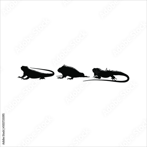 Silhouette of Iguana Reptiles  a genus of herbivorous lizards that are native to tropical areas of Mexico  Central America  South America  and the Caribbean . Vector Illustration 