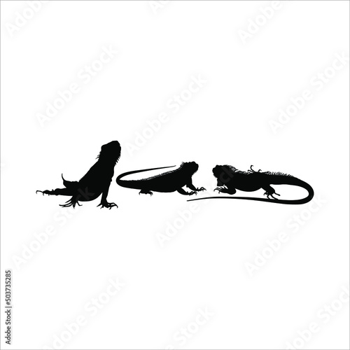 Silhouette of Iguana Reptiles  a genus of herbivorous lizards that are native to tropical areas of Mexico  Central America  South America  and the Caribbean . Vector Illustration 
