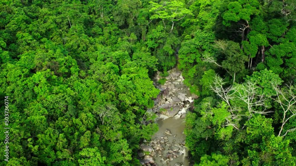 Aerial view over the tree canopys in a dense tropical rainforest jungle, Ko Samui, Thailand Aerial view over the tree canopys in a dense tropical rainforest jungle, Ko Samui, Thailand