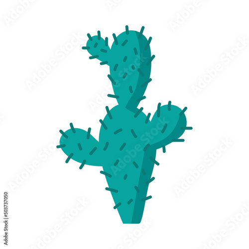desert cactu plant