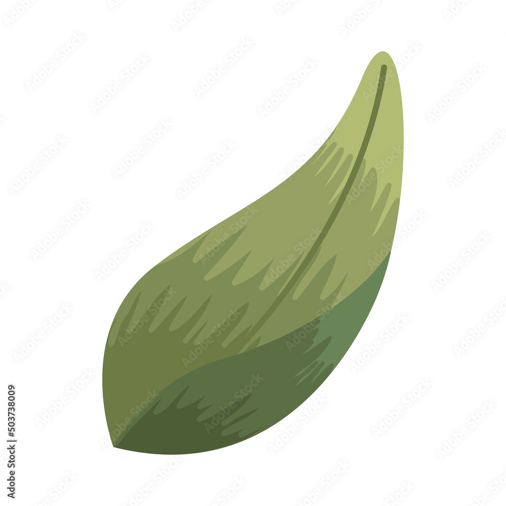 green watercolor leaf green watercolor leaf