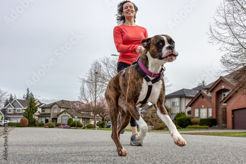 Athletic Caucasian Adult Woman Running outside with a Boxer Dog. Suburban Neighborhood in a modern city of Fraser Heights, Surrey, Vancouver, British Columbia, Canada.