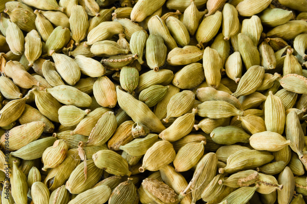 Closeup of a heap of dry green cardamons Closeup of a heap of dry green cardamons