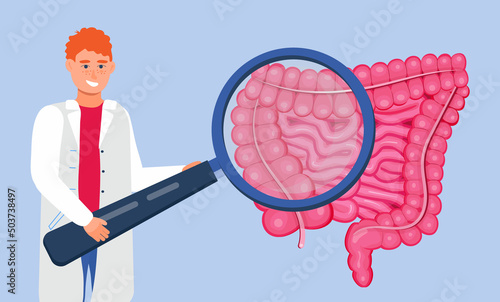 Gastroenterology concept vector. Large and small intestine doctors examine, treat dysbiosis. Gastroenterologist looks through at harmful bacteria.