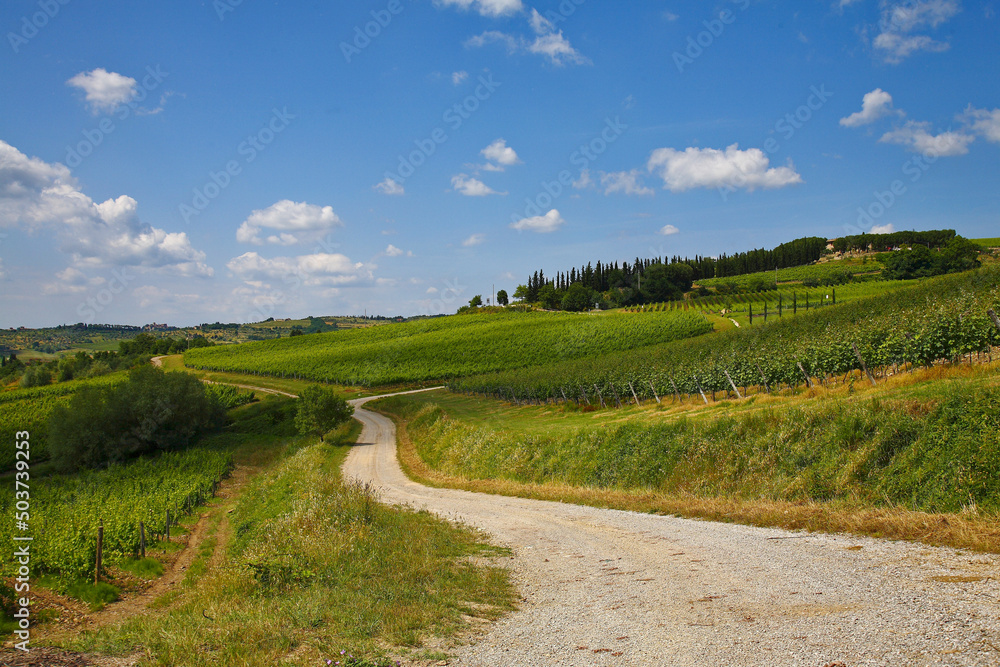 Chianti landscapes Chianti landscapes