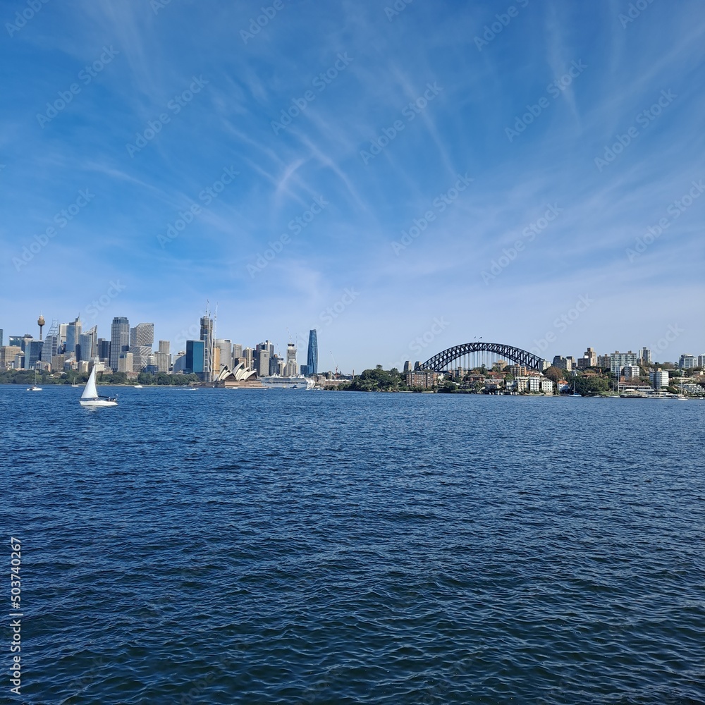 Fototapeta premium city harbour bridge and skyline