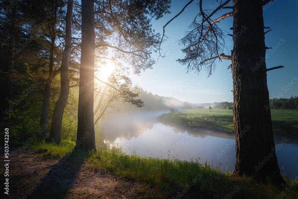 Summer night on a river