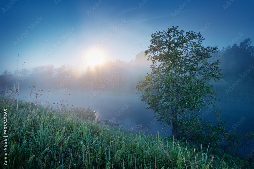 Summer night on a river