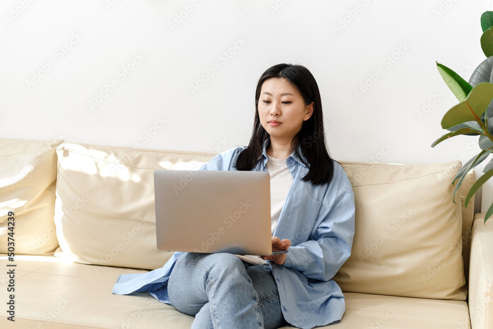 Smiling young asian female freelancer working from home, sitting on couch, using laptop, copy space. Relaxed korean young woman enjoying her weekend, surfing on internet on laptop Smiling young asian female freelancer working from home, sitting on couch, using laptop, copy space. Relaxed korean young woman enjoying her weekend, surfing on internet on laptop