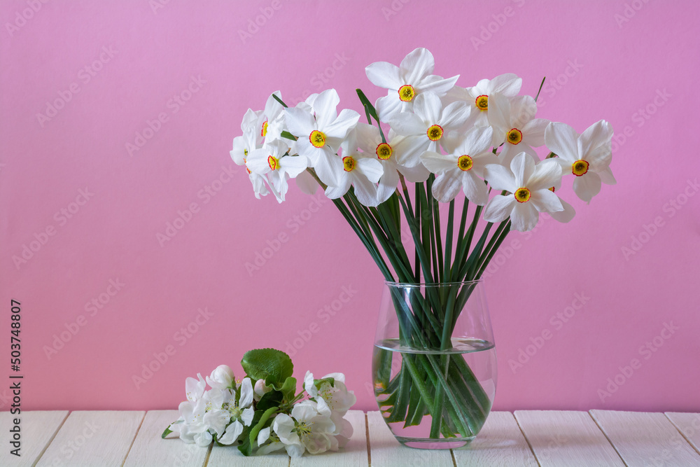 Bouquet of white daffodil flowers in a glass vase on a white table on a pink background. Copy space