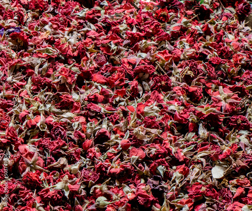 Mountain rose tea