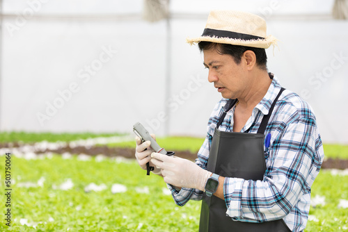 senior farmer holding soil thermometer for measure organic vegetables in hydroponic farm