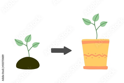Plant repotting. Replant in bigger pot. Seasonal transplantation. Doodle illustration.	