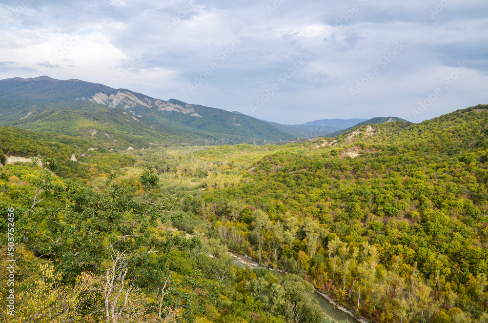 Picturesque view from the hill of the Ujarma fortress to the valley of the Iori river with dense oak forests climbing the mountain slope of the Caucasus Mountains in early autumn, Georgia