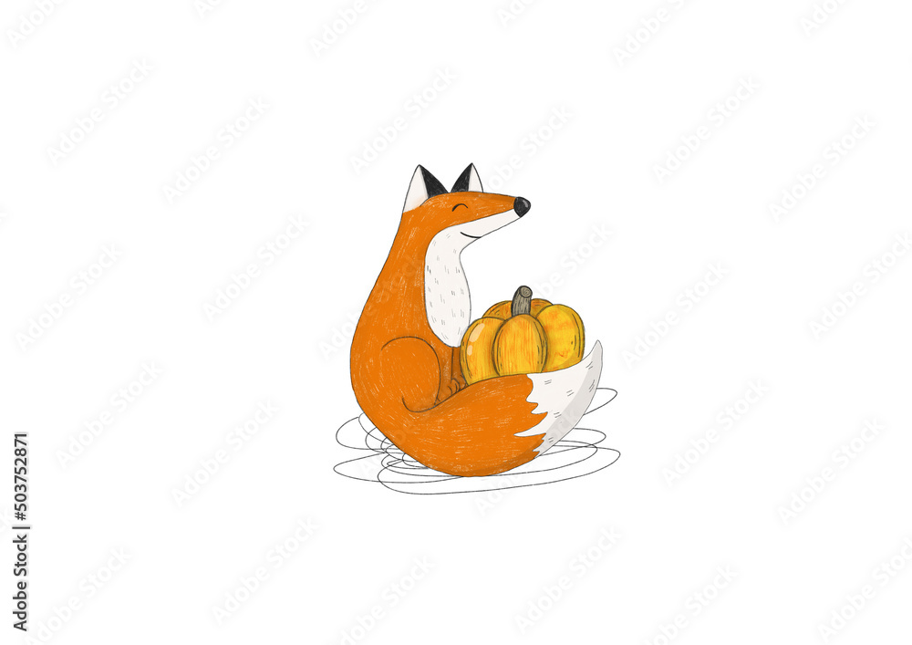 Fototapeta premium Red fox sits with its tail wrapped around an orange pumpkin