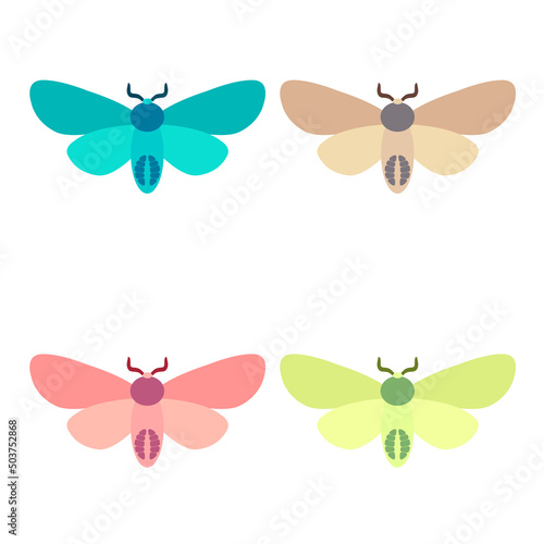 Vector collection, colorful butterfly insects. Decorative design. Isometric, flat style. © Mar
