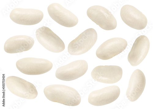 white beans isolated on white. the entire image is sharpness.