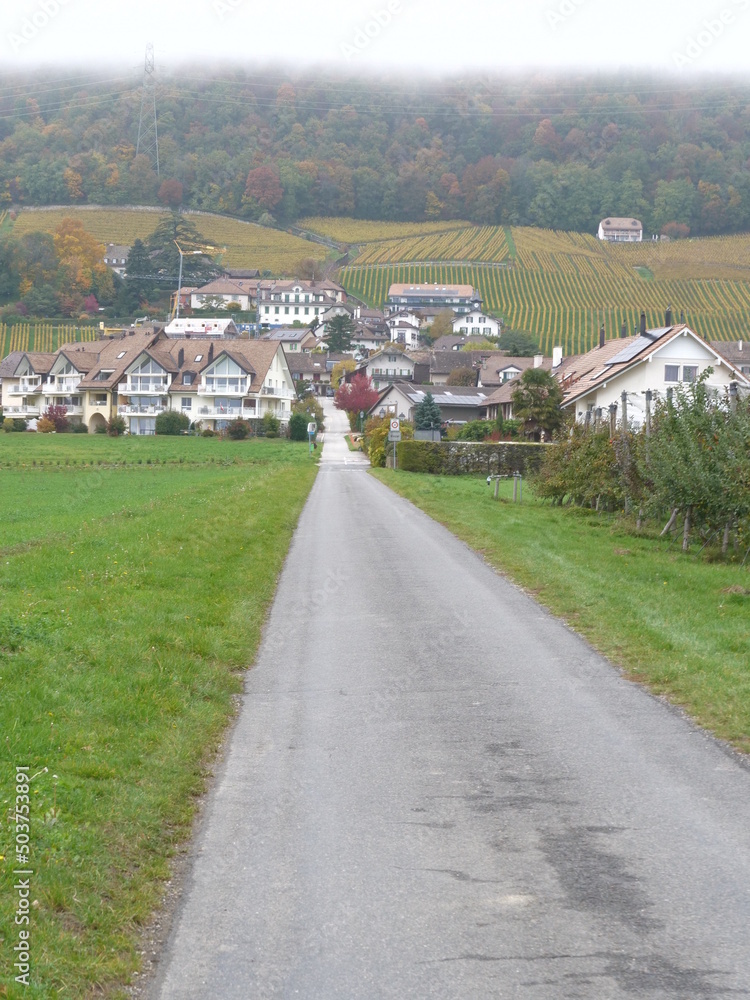 The small village of Vinzel in Vaud district near the Leman Lake in Switzerland.