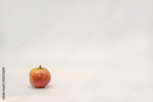 One red ripe apple from a fresh farm harvest lies in the corner of a large white banner background.