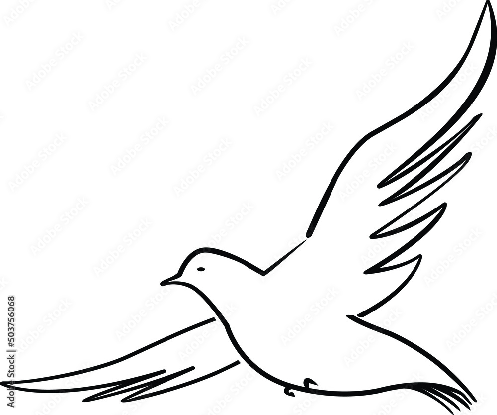vector dove in line art style, vector eps 10 vector dove in line art style, vector eps 10