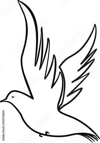 flying dove with line art style, vector shaped image © estiko