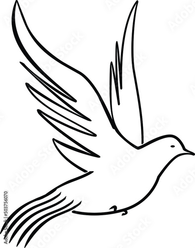 Fototapeta Naklejka Na Ścianę i Meble -  vector dove with long tail, pigeon vector
