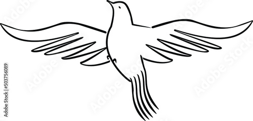 free dove flying high with long tail, pigeon vector