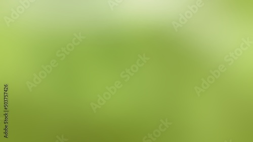 Green blurry background with bokeh. Blurry macro photography background.