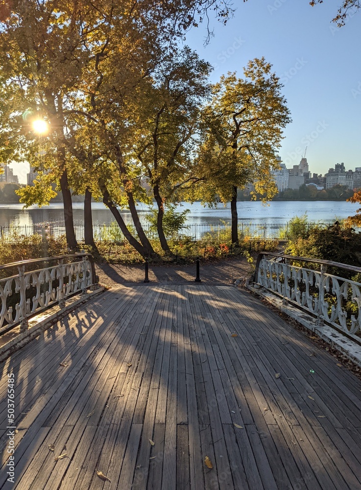 Obraz premium Central Park Reservoir Fall