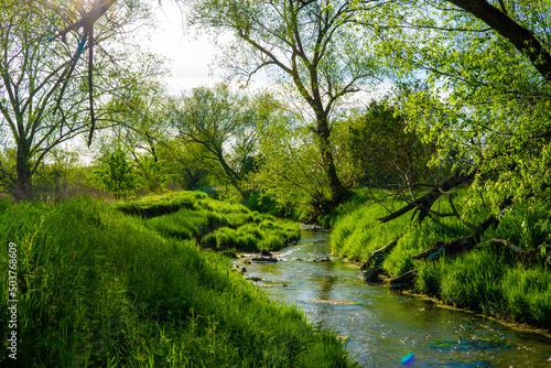 Polish spring