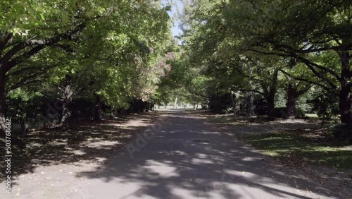 Subjective view of a rural road with trees