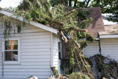 Home storm damage. insurance storm. Storm damage. Roof damage from tree that fell over during hurricane storm. A storm causes tree to fall and rip through the roof of a house. A tree falls lumberjack 