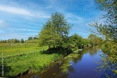 Wallpaper Mural Beautiful rural lower rhine landscape with river Niers, trees, green agricultural field, blue summer sky - Germany, Viersen-Süchteln Torontodigital.ca