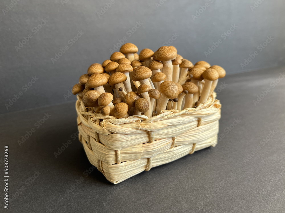 Fresh beige shimeji mushrooms in a wicker basket on a dark background. Fresh beige shimeji mushrooms in a wicker basket on a dark background.