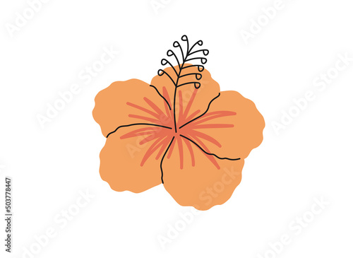 Hand drawn cute summer cartoon illustration of hibiscus flower. Flat vector tropical floral sticker in simple colored doodle style. Exotic botany icon or print. Isolated on white background.