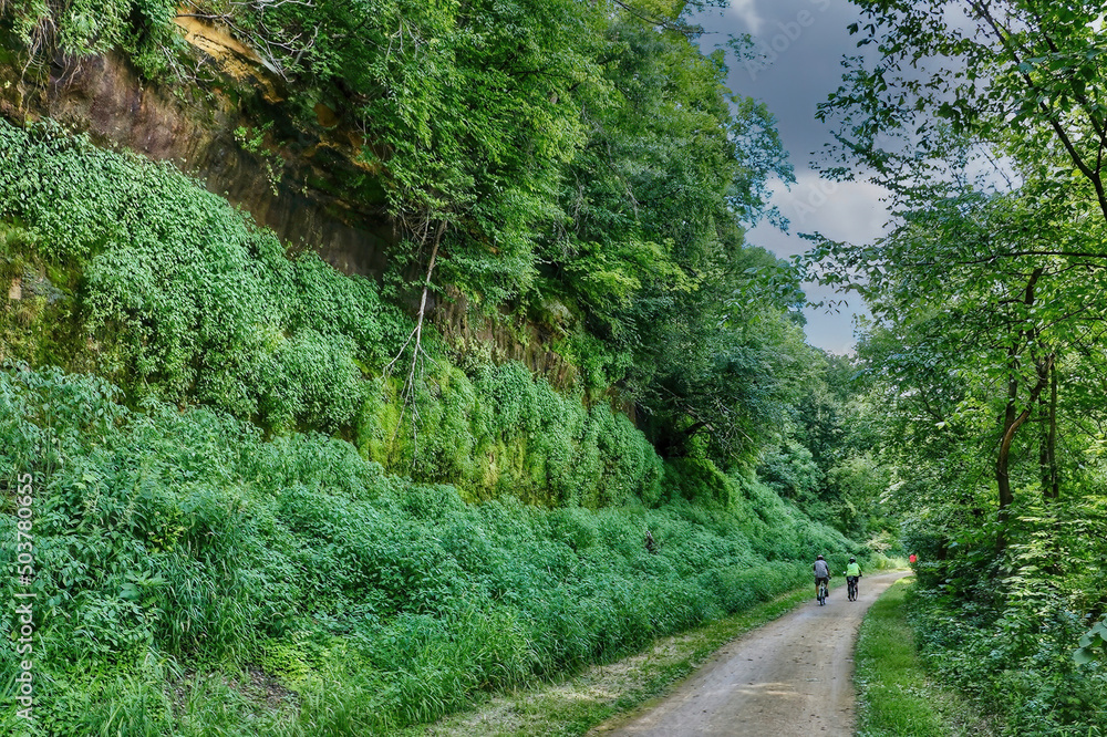 A small group of cyclists ride on an unpaved trail through a lush green forest passing rocky cliffs covered in green vegetation.