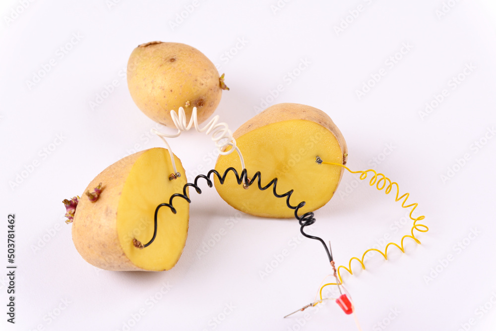 Potato battery on white background. Alternative green energy generated ...