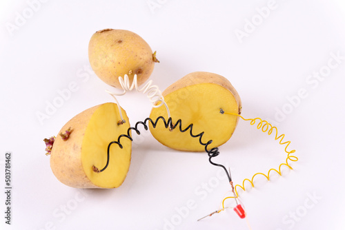 Potato battery on white background.  Alternative green energy generated from potatoes. 