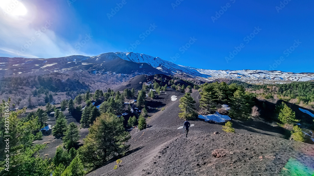 Naklejka premium Man hiking around crater of Sartorio on volcanic landscape of volcano mount Etna, in Sicily, Italy, Europe. Pine and white birch trees growing on solidified lava, ash, pumice. Slopes covered with snow
