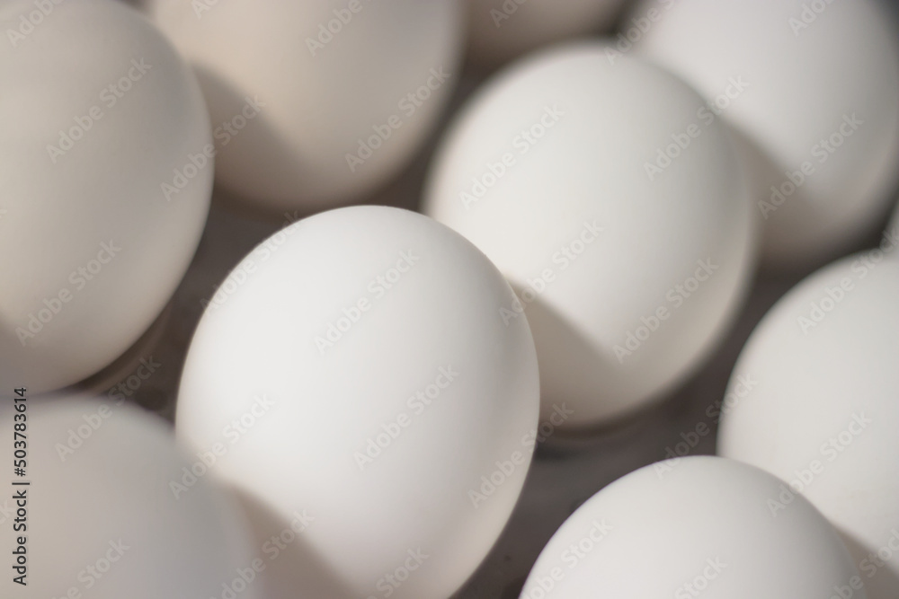 Healthy farm fresh white eggs stored in a egg trey box Healthy farm fresh white eggs stored in a egg trey box