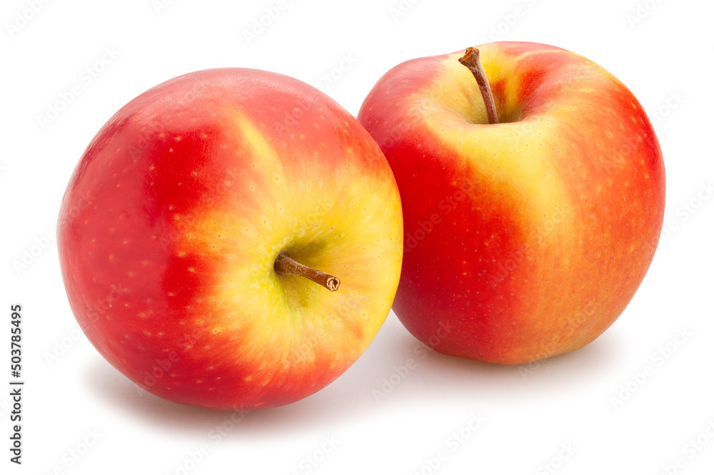 colorful apple path isolated on white colorful apple path isolated on white