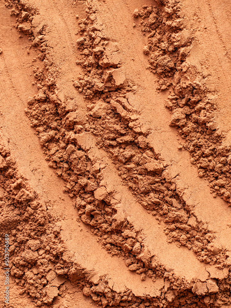 Ground Cinnamon texture background. Top view Ground Cinnamon texture background. Top view