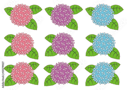 紫陽花_セット1_主線あり
